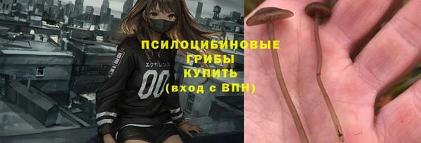 a pvp Ладушкин