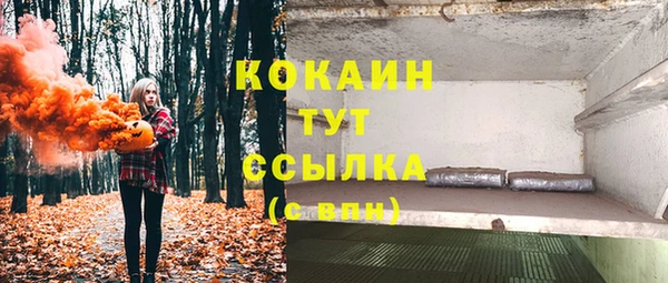первитин Лабытнанги