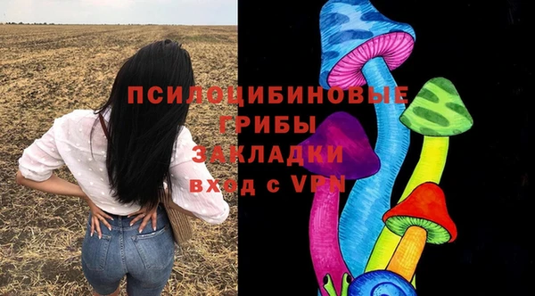 первитин Лабытнанги
