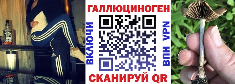 Галлюциногенные грибы Magic Shrooms  Купить  Комсомольск 